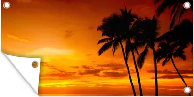 Produktbild von MuchoWow® 60x30 cm Outdoor-Poster Gartendeko Sichtschutz Garten Poster für den Garten  Palme - Sonnenuntergang - Tropisch - Orange - Meer