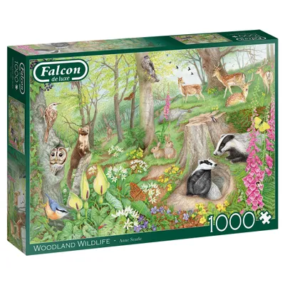 Immagine prodotto di Jumbo Games Falcon Woodland Wildlife, puzzle, puzzle per adulti, puzzle, 1000 pezzi, 11322