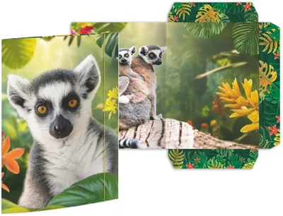Obrázek produktu pro RNK Verlag 45395 RNK Verlag Skicák „Lemur“, karton, DIN A3