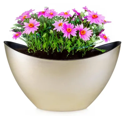 Image de Jardinière ovale 24 cm Vintage doré pour l'extérieur