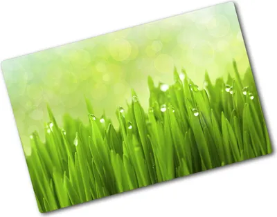 Produktbild von Tulup Glas Herdabdeckplatte - 80x52 cm - Glaskeramikkochfeld-Abdeckung Spritzschutz Glasabdeckplatte - Einteilig - Blumen & Pflanzen - Gras - Grün