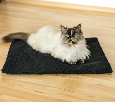 Zdjęcie produktu dla Kocyk dla zwierząt z funkcją samonagrzewania 50 x 60 cm, czarny – ogrzewający kocyk dla kotów i psów, izolujący, miękki, nadający się do prania, nie szeleści, z zamkiem błyskawicznym