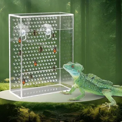 Produktbild von Wandmontiertes Insektfuttergerät aus Acryl für Terrarien