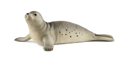 Produktbild von SCHLEICH - Wild Life, Seehund (5 ct.)