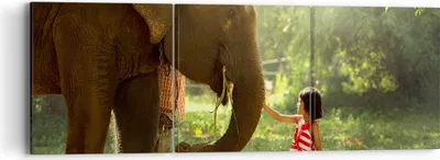 Produktbild von Bild auf Leinwand - Leinwandbild - Elefant Tier - 90x30cm - Wand Bild - Wanddeko - Wandbilder - Leinwanddruck - Bilder - Kunstdruck - Wanddekoration - Leinwand bilder - Wandkunst - CA90x30-3884