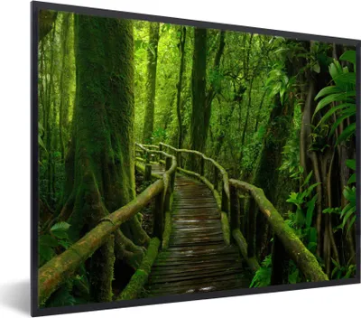 Produktbild von MuchoWow® Gerahmtes Poster Dschungel - Brücke - Moos - Natur - Tropisch 80x60 cm - Poster mit Schwarzem Bilderrahmen Wandposter Rahmen Foto Bilder - Schwarzem - Mit Gestell