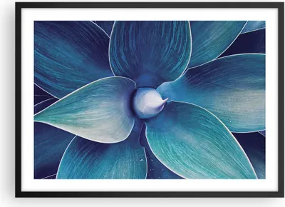 Produktbild von Gerahmtes Poster - Schwarzer Rahmen - Agave Blau Blume - 70x50 cm - Wand Bild - Wanddeko - Wandbilder - Kunstposter - Wandposter - Bilderrahmen - Bilder - Kunstdruck - Wanddekoration - P2BAA70x50-4972