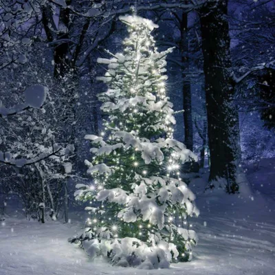 Immagine prodotto di Illuminazione natalizia ACA, catena luminosa a forma di polpo con 350 LED per alberi, 10 fili da 35 LED ciascuno, bianco freddo, alimentatore incluso, IP44, cavo di alimentazione verde da 3 m, X08350211