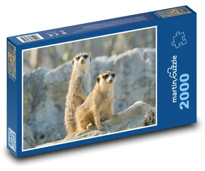 Zdjęcie produktu dla martinpuzzle - Puzzle 2000 - Surikaty na skałach