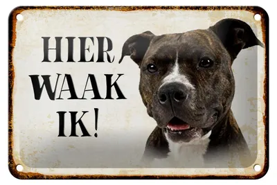Produktbild von Blechschild Spruch 18x12cm holländisch Hier Waak ik Pitbull Terrier Dekoration
