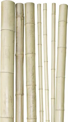 Produktbild von Naturfarbene Dekoration aus stabilem Bambusrohr für den Innen- und Außenbereich