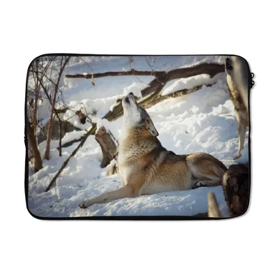 Produktbild von MuchoWow® Laptop Hülle 13 Zoll Wolf - Schnee - Wald Laptoptasche - Laptophülle - Sleeve - Rundumschutz