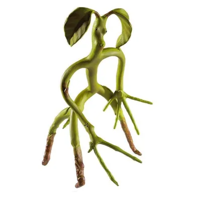 Immagine prodotto di The Noble Collection FB - Bendable Bowtruckle, NN5006