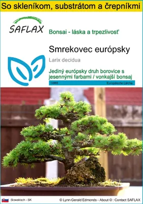 Obrázok produktu pre SAFLAX Kultivačný set - smrekovec európsky - Larix decidua - 75 Semená - S mini skleníkom, pestovateľským substrátom a 2 črepníkmi