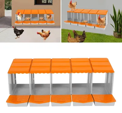 Imagen del producto de Kit de 5 cajas nido para gallinas, con accesorios incluidos