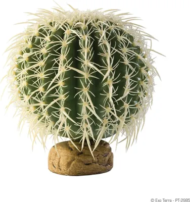 Immagine prodotto di Hagen Exo Terra Cactus cilindrico, M