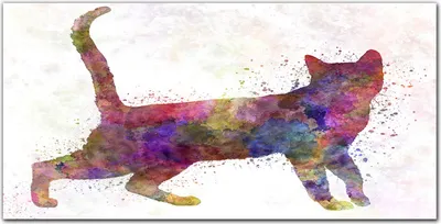 Produktbild von Coloray Bild aus Glas 140x70 wohnzimmer glasblock mit bild wanddekoration gehärtetes Glas Dekoration Küche - Katze
