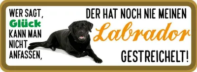 Produktbild von vianmo Holzschild 10x27 cm Labrador Hund gestreichelt Tier Haustier