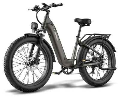 Produktbild von E-Bike Fatbike 250W 48V 20Ah Akku 70-95km Reichweite 26x4.0 Zoll Schwarz