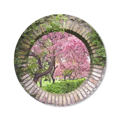 Produktbild von MuchoWow® Mauspad Mousepad Transparent - Sakura - Blüte - Japanisch 20x20 cm - Mousepads - Maus Mat - Pad - Mausunterlage - Schreibtischmatte