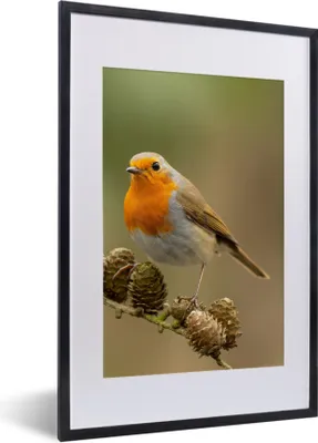 Produktbild von MuchoWow® Gerahmtes Poster Vogel - Rotkehlchen - Tannenzapfen - Zweig - Herbst 40x60 cm - Poster mit Schwarzem Bilderrahmen Wandposter Rahmen Foto Bilder - Poster in Rahmen