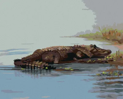 Produktbild von Zuty - Malen nach Zahlen - IM WASSER LIEGENDER ALLIGATOR (D. RUSTY RUST), 40x50 cm, mit Keilrahmen (bereits gespannt)