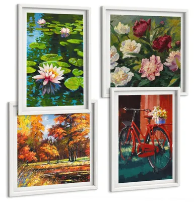 Produktbild von Bilder Set 4-teilig im weißen Rahmen – Wandbilder 4 Stück – gerahmte Poster für Wohnzimmer, Schlafzimmer und Flur – 50x50 cm - 40x60 cm – Seerosen, Fahrradblumen