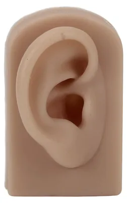 Obrázek produktu pro Silikonový model ucha, měkký, pružný, pravý, opakovaně použitelný, pro trénink piercingu a vystavení náušnic, hnědý