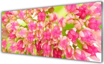 Produktbild von Acrylglasbilder 125x50 Wandbild Druck Blüten Blumen Pflanzen