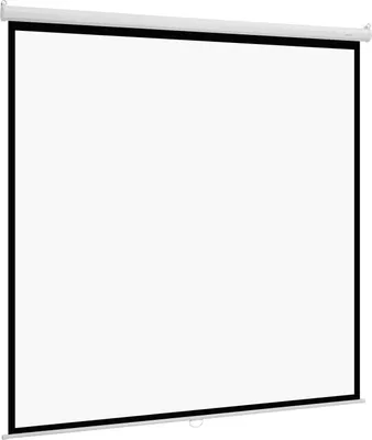 Immagine prodotto di Schermo per proiettore manuale, 3048 mm 1:1 4K 1080 HD Schermo per proiettore retrattile a scomparsa, proiezione cinematografica a parete con corda di trazione, proiezione portatile per home theater familiare