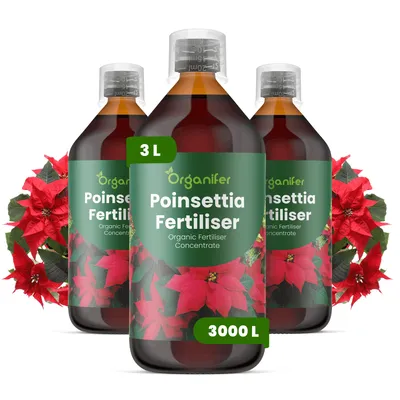 Zdjęcie produktu dla Bożonarodzeniowa Hviezda Nawóz Płynny 3x1 L – 2-1-8 NPK – Do Vianočné Hviezdy – Podporuje Rovnomerné Sfarbenie i Zdrowy Wzrost – Organifer