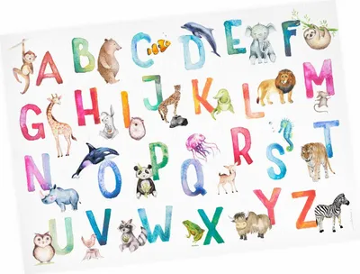 Produktbild von Kinder Lernposter Tier ABC Watercolor - DIN A3 - 420 x 297 mm