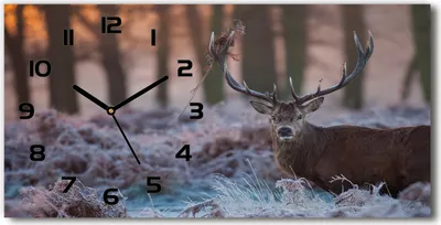 Produktbild von Wanduhr aus Glas – 60x30 cm - Glasbild - Glasuhr - Gehärtetes Glas - schwarze-zeiger - Deer bei Sonnenaufgang