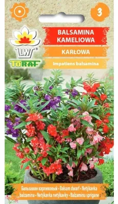 Zdjęcie produktu dla Balsamina kameliowa karłowa Nasiona kwiatów - 451 Toraf