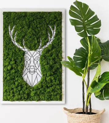 Produktbild von Moosbild mit Echtem Isländisch Moos - 40x60 cm - Weißer MDF-Rahmen - Geometrische Hirsche