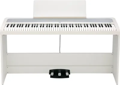 Image de Korg B2+SP WH