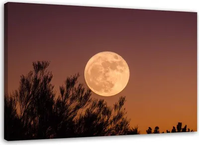 Produktbild von Leinwandbild vollmond 120x80 cm Feeby braun wandbild bereit zum aufhängen