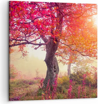 Produktbild von Bild auf Leinwand - Leinwandbild - Baum Natur Wiese - 60x60cm - Wand Bild - Wanddeko - Wandbilder - Leinwanddruck - Bilder - Kunstdruck - Wanddekoration - Leinwand bilder - Wandkunst - AC60x60-3658