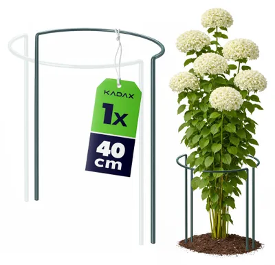 Obrázek produktu pro KADAX opora pro rostliny, výška 40 cm, 1 kus, opora pro keře z oceli s práškovým nástřikem, držák pro keře, pivoňky a hortenzie (půlkulatý)