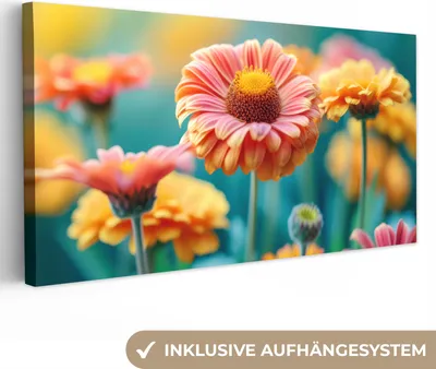 Obrázek produktu pro OneMillionCanvasses® - Plátno - Květiny - Barevné - Příroda - Gerbera, nástěnná malba, nástěnné dekorace obrazy obývací pokoj, 80x40cm