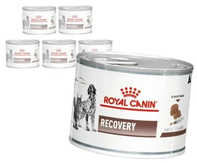 Produktbild von Royal Canin Veterinary VHN Recovery Mousse 6x195g Nassfutter-Mousse für Hunde und Katzen zur Genesung
