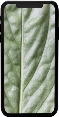 Produktbild von iPhone 11 64GB Schwarz Premium Refurbished
