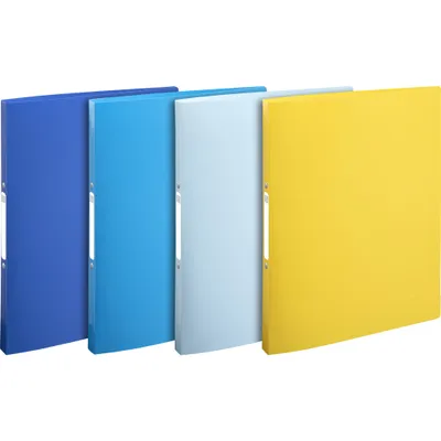 Image de Exacompta 20x Classeur 2 anneaux 15mm PP recyclé A4 Couleurs assorties 54110E