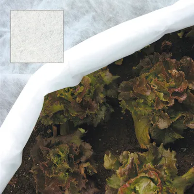 Image de Filet de protection pour plantes (2,0 x 10 mètres)