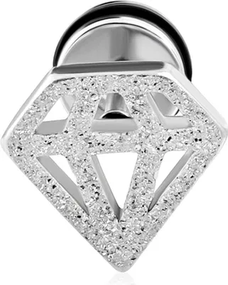 Produktbild von Fake Plug Edelstahl Diamant Fakeplug Ohr Piercing Ohrstecker Damen Herren Autiga® silber