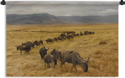 Produktbild von MuchoWow® Wandteppich Wandbehang Wildtierherde im Krater von Ngorongoro in Tansania 90x60 cm Tapisserie Dekoration Wandtuch - Wandskulpturen - Bildteppich