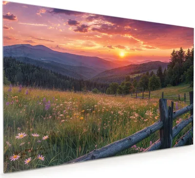 Produktbild von Küchenrückwand Spritzschutz Glas mit Motiv Sonnenuntergang Wiese 40 x 40 cm
