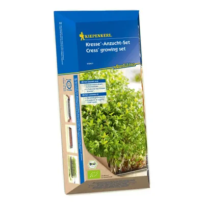 Produktbild von Kiepenkerl Anzuchtset Kresse Lepidium sativum 1 Stück