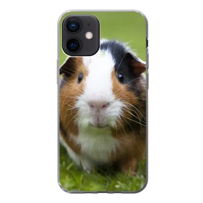 Produktbild von MuchoWow® Handyhülle Schutzhülle Hülle für iPhone 12 Zwei Meerschweinchen Silikon Softcase Handy Hülle - Schutzhülle