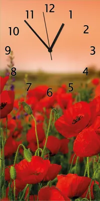 Produktbild von Wallario Design Wanduhr bedruckt, Größe 30 x 60 cm, Motiv: Mohnblumen auf dem Feld